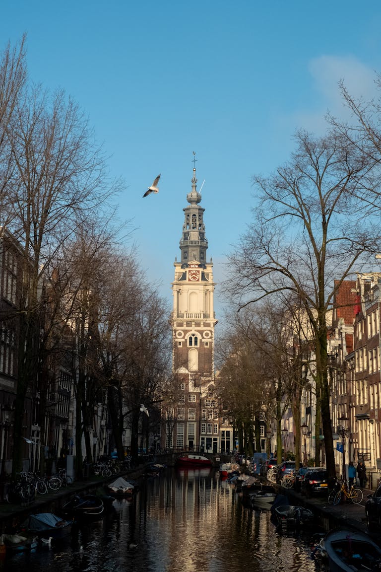 Stunning view of Amsterdam's gothic architecture along a serene canal under a clear blue sky.